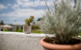 Apartman Jasmina